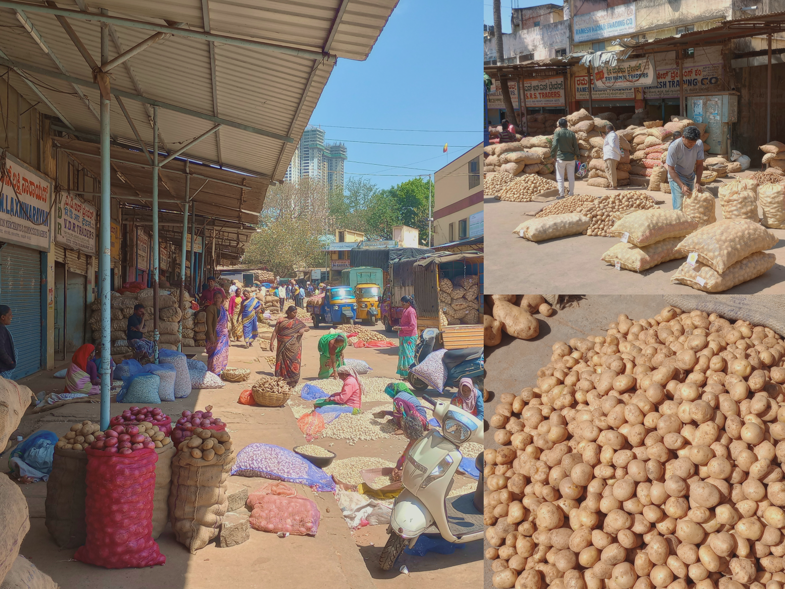 Field market research — mandi street scene, traders and produce sacks observed during discovery